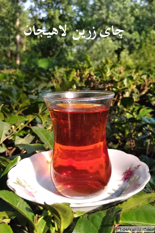 چای زرین لاهیجان Lahijan tea چای زرین لاهیجان Lahijan tea