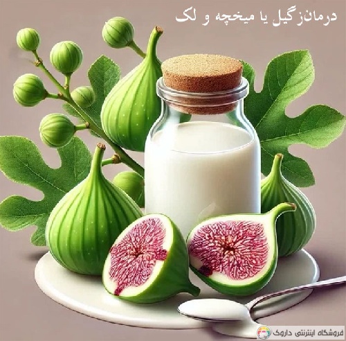 شیره سفید درخت انجیر