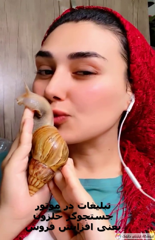 حلزون آچاتینا آلبینو Achatina Albino