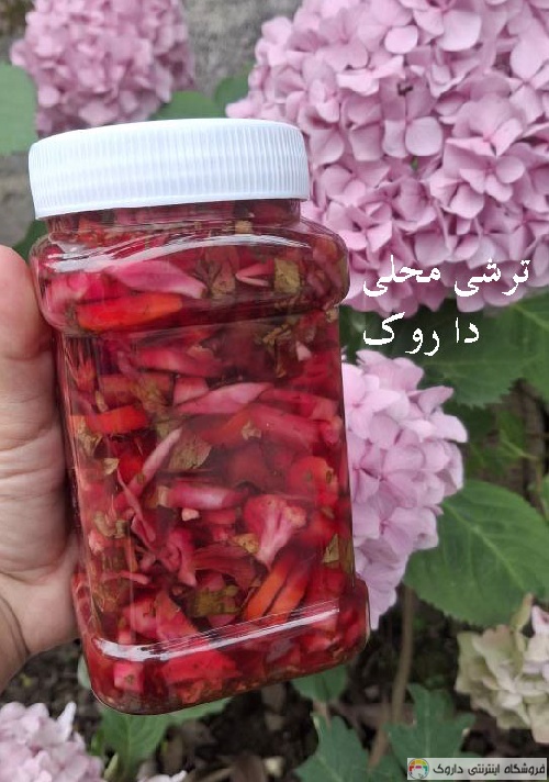 خرید ترشی ارگانیک Torshi