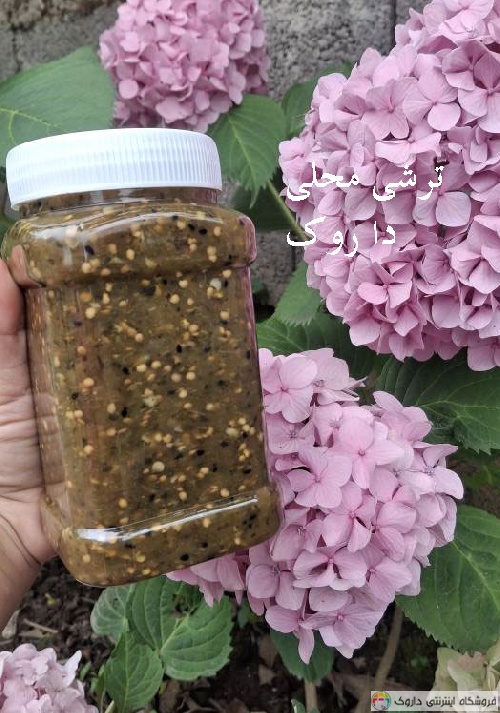 خرید ترشی ارگانیک Torshi