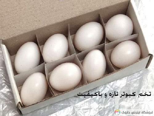 تخم کبوتر درمان تکلم کودکان تخم کبوتر درمان تکلم کودکان