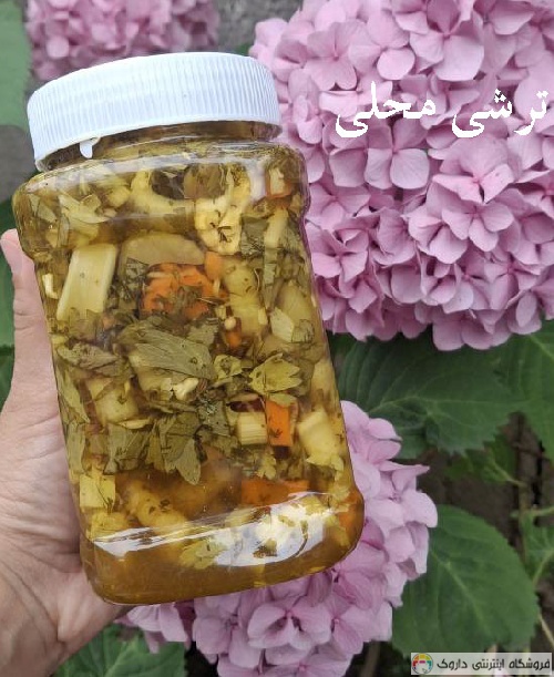 خرید ترشی ارگانیک Torshi