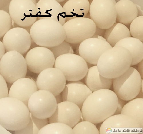 تخم کبوتر درمان تکلم کودکان تخم کبوتر درمان تکلم کودکان